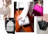 fashion bag 2017-2018